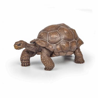 Figurină Papo Țestoasă Galapagos realistă, pictată manual, 11 cm