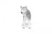 Figurina Husky Siberian Papo pictata manual pentru copii 3+