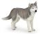 Figurina Husky Siberian Papo pictata manual pentru copii 3+