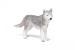 Figurina Husky Siberian Papo pictata manual pentru copii 3+