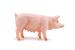 Figurină scroafă Papo realistă, pictată manual, pentru copii 3+