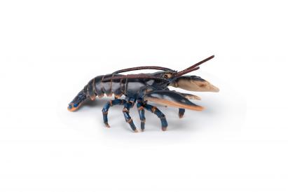 Figurina Papo Homar realistă, pictată manual, pentru joacă și colecție