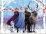 PUZZLE SURPRIZA FROZEN2 CU 48 PIESE IN CUTIE DIAMANT