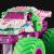MONSTER JAM NITRO NEON MASINUTA METALICA THUNDERROARUS SCARA 1 LA 64