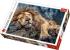 Puzzle Trefl 1000 piese Leu Dormind, multicolor, 12+ ani