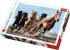 Puzzle Trefl 1000 piese Cai la Galop, multicolor, 12+ ani