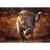 Puzzle Trefl 1000 piese Premium Plus Photo Odyssey Leopard