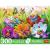 Puzzle Trefl 300 piese Easy Piece Insecte in Lunca, multicolor, 8+