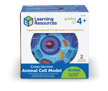 Model educativ celulă animală în secțiune, din spumă moale, 12,7 cm