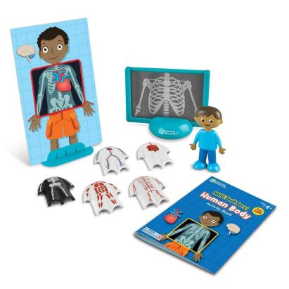 Set educativ Corpul uman cu model 3D si activitati Learning Resources