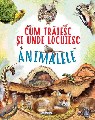 Cum trăiesc și unde locuiesc animalele - carte educativă copii 5+