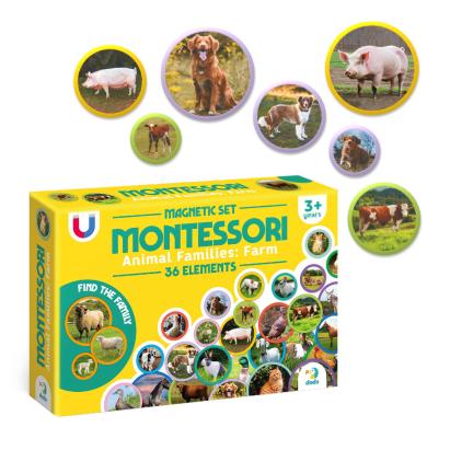 Set magneți Montessori cu animale de la fermă, 36 piese, Dodo