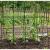 Ansamblu suport araci cu plasa pentru crestere castraveti, fasole, mazare, 180x180 cm, Strend Pro GartenVIP DiyLine