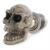 Brat de brichetă Skull Ochi Negri Ø 22mm Universal Performance AutoTuning