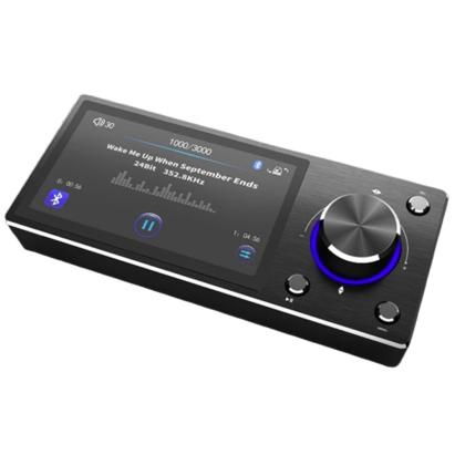 Panou de control Goldhorn cu afișaj pentru player DSD auto