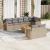 Set canapele de grădină, 9 piese, cu perne, bej, poliratan GartenMobel Dekor