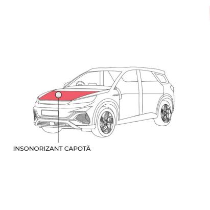 Pachet insonorizant capotă auto Dr Artex EV, 2 straturi, 0.7 m²