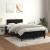 Pat box spring cu saltea, negru, 120x190 cm, catifea GartenMobel Dekor