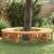 Bancă cu arbori 2 pcs natural 160 x 80 x 45cm GartenMobel Dekor