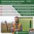 Plasă de gard EUROPLAST verde Zn+PVC 2x25 m, 100x50 mm, 2,2 mm