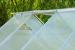 Sera de grădină Strend Pro Greenhouse, aluminiu, policarbonat 6 mm, 250x190x195 cm
