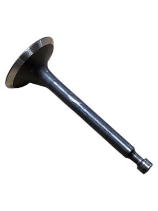 Supapă de evacuare pentru motocultor Strend Pro QK60 3Q4096