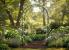 Pergola de gradina pentru plante cataratoare, otel verde, 140x38x240 cm