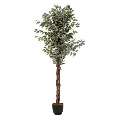 Planta artificiala Ficus Atmosphera cu ghiveci, 185 cm, verde bicolor