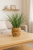 Planta decorativa artificiala Atmosphera cu iarba in ghiveci impletit, maro natur