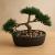 Bonsai artificial Atmosphera în ghiveci ceramic cu pietricele, 23 cm