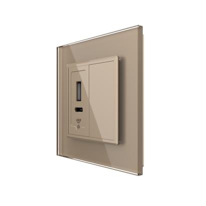 Priza USB-A + USB-C cu Rama Din Sticla si Tasta Falsa LIVOLO SmartElectro IntelligentHouse