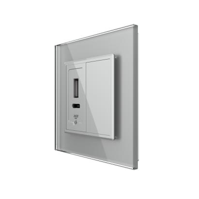 Priza USB-A + USB-C cu Rama Din Sticla si Tasta Falsa LIVOLO SmartElectro IntelligentHouse