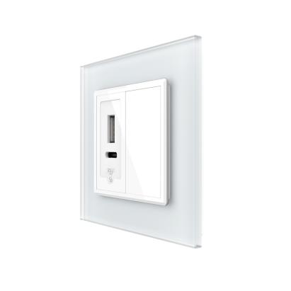 Priza USB-A + USB-C cu Rama Din Sticla si Tasta Falsa LIVOLO SmartElectro IntelligentHouse