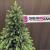 Brad artificial Sersimo Carpati 2D+3D, varfuri verzi, 250 cm