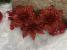 Set 10 ornamente de Crăciun Poinsettia roșii pentru brad, 10 cm