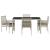 Set de masă pentru grădină 5 pcs Gri deschis poliratan GartenMobel Dekor