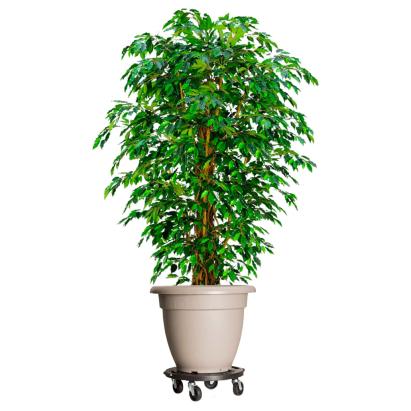 Cărucioare de plante cu roți 2 buc. negru diametru 40 cm 275 kg GartenMobel Dekor
