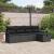Set de canapele pentru grădină cu pernă 5 pcs Negru Rattan poli GartenMobel Dekor