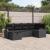 Set de canapele pentru grădină cu pernă 6 pcs Negru Rattan poli GartenMobel Dekor