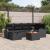 Set de canapele pentru grădină cu pernă 7 pcs Negru Rattan poli GartenMobel Dekor