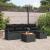 Set de canapele pentru grădină cu pernă 6 pcs Negru Rattan poli GartenMobel Dekor