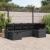 Set de canapele pentru grădină cu pernă 6 pcs Negru Rattan poli GartenMobel Dekor