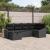 Set de canapea cu pernă cu depozitare 6 pcs Negru poliratan GartenMobel Dekor