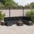 Set de canapele pentru grădină cu pernă 9 pcs Negru Rattan poli GartenMobel Dekor