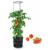 Ghiveci decorativ pentru rosii, rotund, antracit, 39.2x31.5x153 cm, Tomato Grower GartenVIP DiyLine