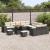 Set de canapele pentru grădină 13 pcs Negru și Crem poliratan GartenMobel Dekor