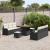 Set de canapele pentru grădină cu pernă 9 pcs Negru și Crem GartenMobel Dekor