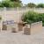 Set de canapele pentru grădină 10 pcs Beige și gri deschis GartenMobel Dekor