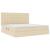 Pat cu saltea și spațiu de depozitare Creme 200 x 200 cm GartenMobel Dekor