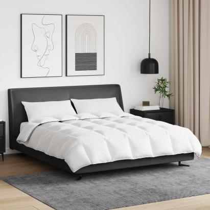 Pilotă de iarnă 240x220 cm cu 2 perne, umplutură puf și pene, albă